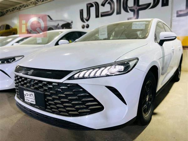 بي واي دي Qin Plus 2025 للبيع في العراق - النجف